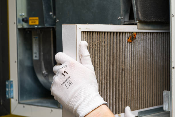 Best Air Duct Cleaning Near Me  in Daphne, AL