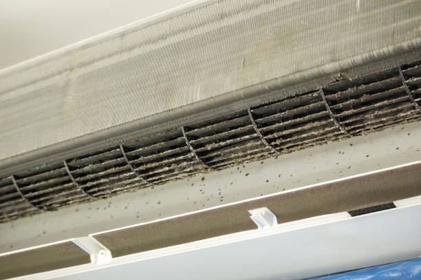 Best Professional Duct Cleaning Services  in Daphne, AL