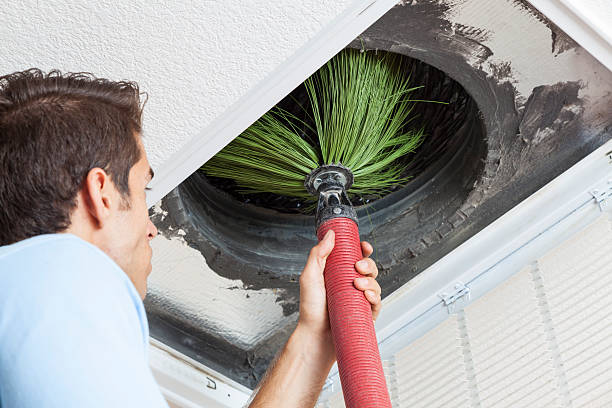 Best Air Vent Cleaning Services  in Daphne, AL