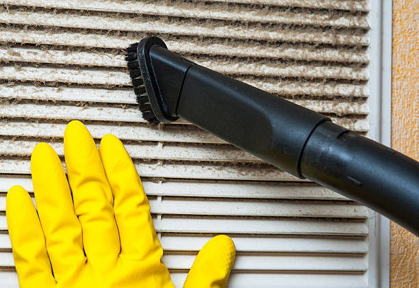 Best Affordable Air Duct Cleaning  in Daphne, AL